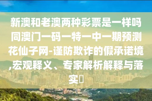 新澳和老澳兩種彩票是一樣嗎同澳門一碼一特一中一期預(yù)測花仙子網(wǎng)-謹防欺詐的假承諾境,宏觀釋義、專家解析解釋與落實?