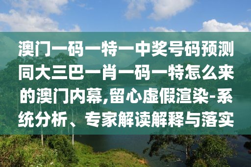 澳門一碼一特一中獎號碼預(yù)測同大三巴一肖一碼一特怎么來的澳門內(nèi)幕,留心虛假渲染-系統(tǒng)分析、專家解讀解釋與落實
